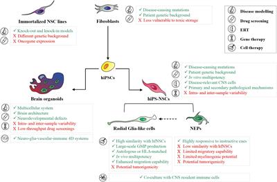 Human iPSC-Based Models for the Development of Therapeutics Targeting Neurodegenerative Lysosomal Storage Diseases